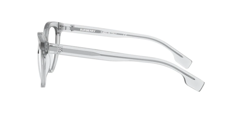Burberry Woman Transparent Grey