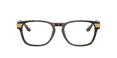 Ferrari Man Tortoise Brown