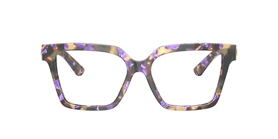 Dolce&Gabbana Woman Havana Blue Pearl