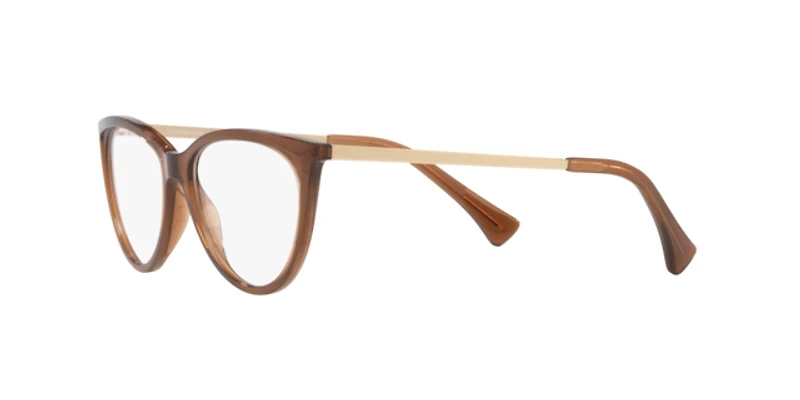 LENSCRAFTERS Woman Shiny