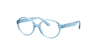 Ray-Ban Unisex Transparent