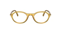 Persol Unisex Miele