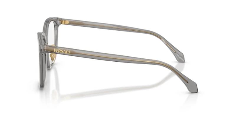 Versace Woman Transparent Grey