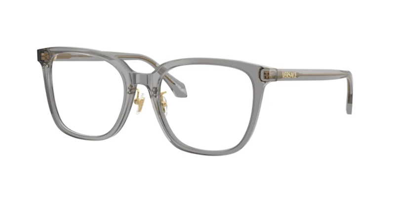 Versace Woman Transparent Grey