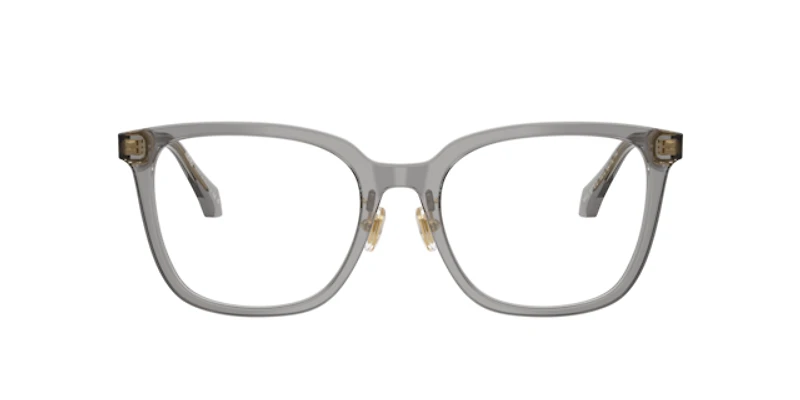 Versace Woman Transparent Grey