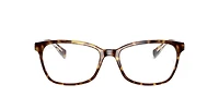 Ray-Ban Woman Havana On Transparent