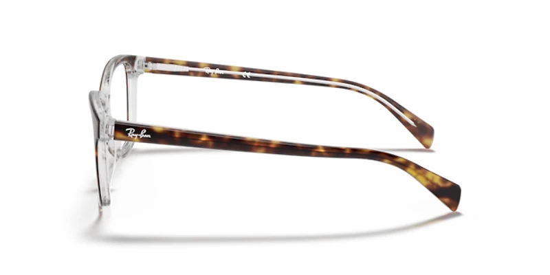 Ray-Ban Woman Havana On Transparent