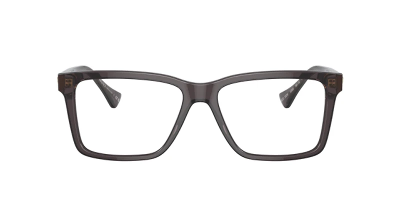 Versace Man Transparent Grey