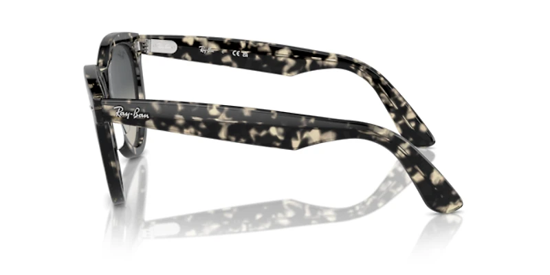 Ray-Ban Unisex Grey Havana