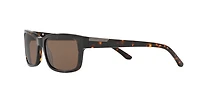 Sferoflex Man Dark Havana
