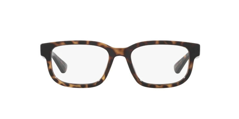 Gucci Man Tortoise