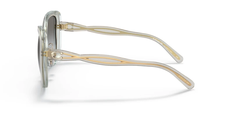 Coach Woman Transparent Grey