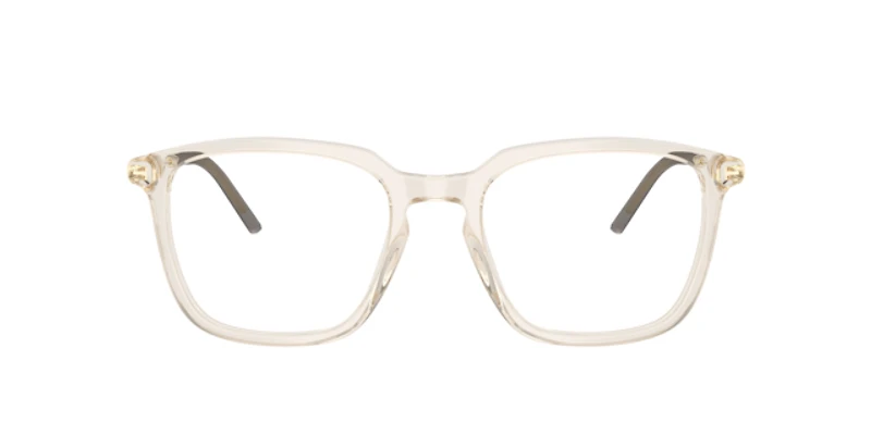 Moncler Unisex Shiny