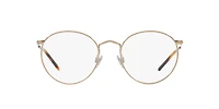 Polo Ralph Lauren Man Shiny Dark Rose Gold