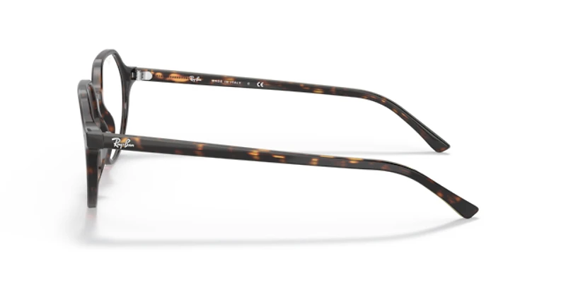 Ray-Ban Unisex Havana