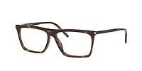 Saint Laurent Man Tortoise