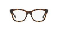 Gucci Woman Tortoise