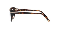 Tom Ford Woman Tortoise Black