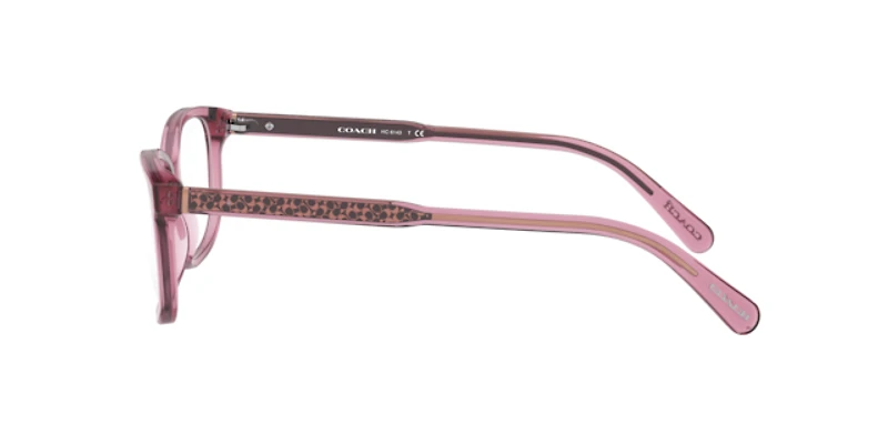Coach Woman Transparent