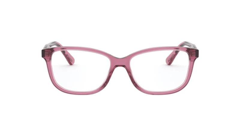 Coach Woman Transparent