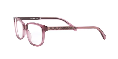 Coach Woman Transparent