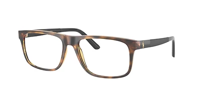 Polo Ralph Lauren Man Shiny Dark Havana