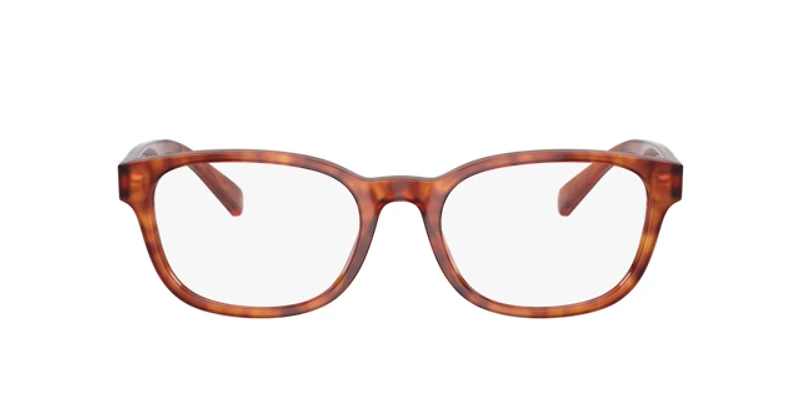 Polo Ralph Lauren Man Shiny Red Havana