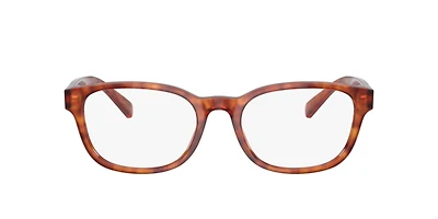 Polo Ralph Lauren Man Shiny Red Havana