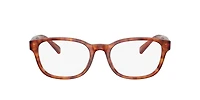 Polo Ralph Lauren Man Shiny Red Havana