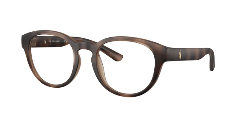 Polo Ralph Lauren Man Matte Dark Havana