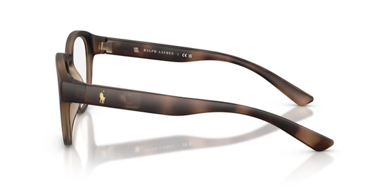 Polo Ralph Lauren Man Matte Dark Havana