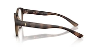 Polo Ralph Lauren Man Matte Dark Havana