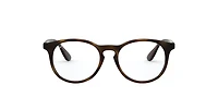 Ray-Ban Jr Unisex Havana