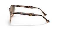 Ray-Ban_Lenses Unisex Havana On Transparent Brown