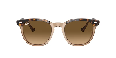 Ray-Ban_Lenses Unisex Havana On Transparent Brown