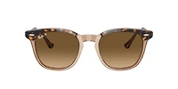 Ray-Ban_Lenses Unisex Havana On Transparent Brown