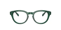 Polo Ralph Lauren Man Shiny Transparent Green