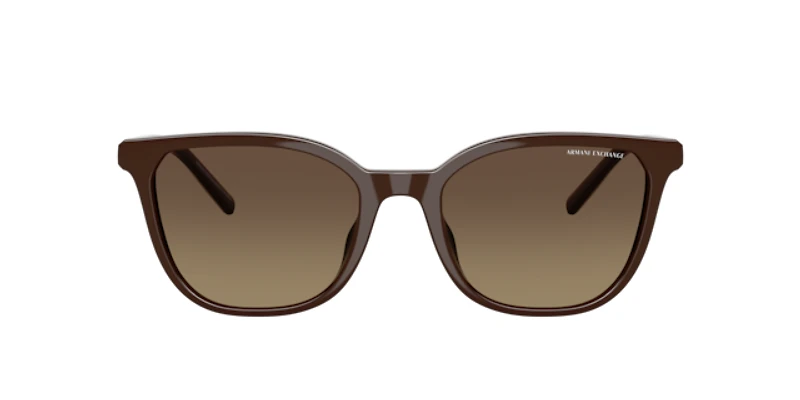 Armani Exchange Woman Shiny Dark Brown