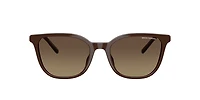 Armani Exchange Woman Shiny Dark Brown