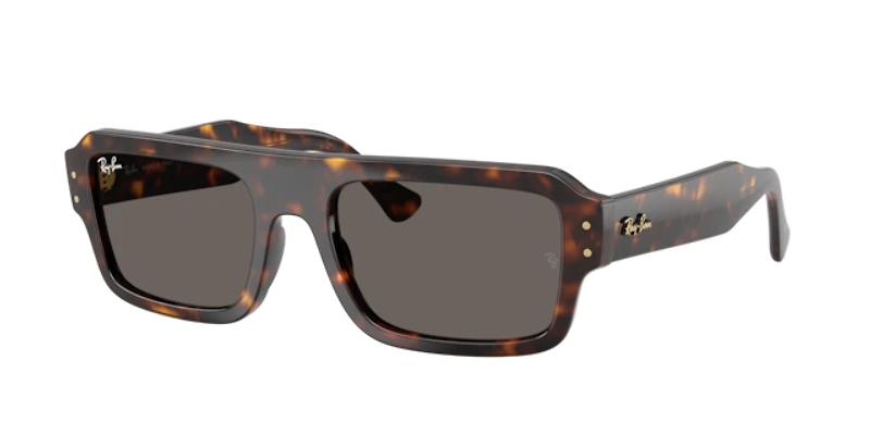 Ray-Ban Unisex Havana