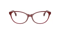 Ralph by Lauren Woman Transparent Dark