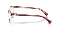 Ralph by Lauren Woman Transparent Dark