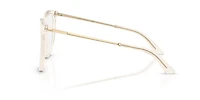 Jimmy Choo Woman Transparent