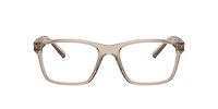 Armani Exchange Man Shiny Transparent Brown