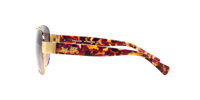 Coach Woman Purple, Gold