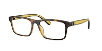 Polo Ralph Lauren Man Shiny