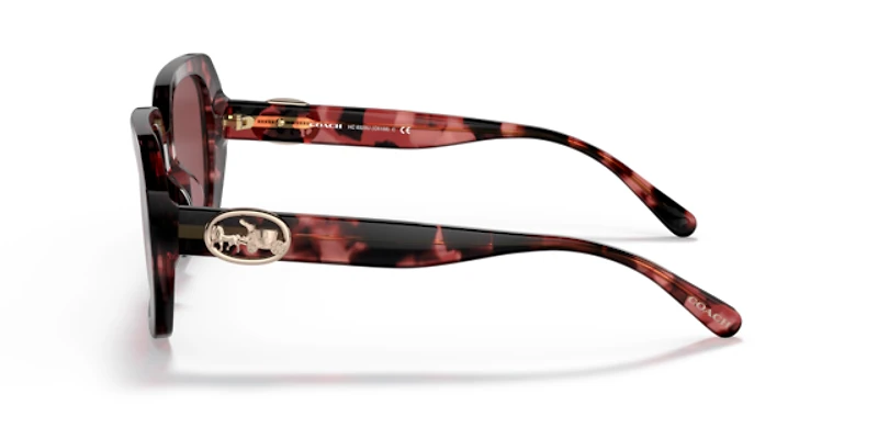 Coach Woman Milky Wine Tortoise