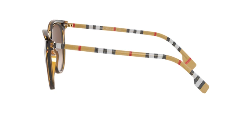 Burberry Woman Dark Havana