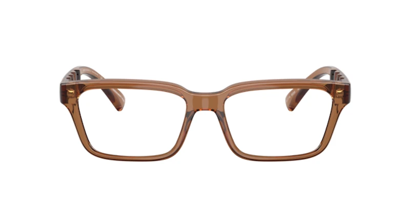 Armani Exchange Man Shiny Transparent Brown