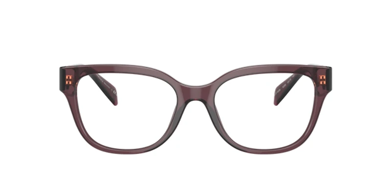 Versace Woman Transparent Violet